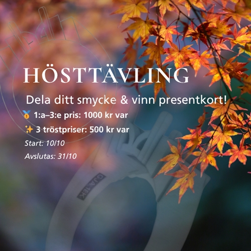 Hösttävling hos Guldsmedshuset 10/10 2025