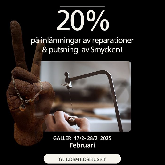 Februarierbjudande – 20% Rabatt på Reparation & Putsning!